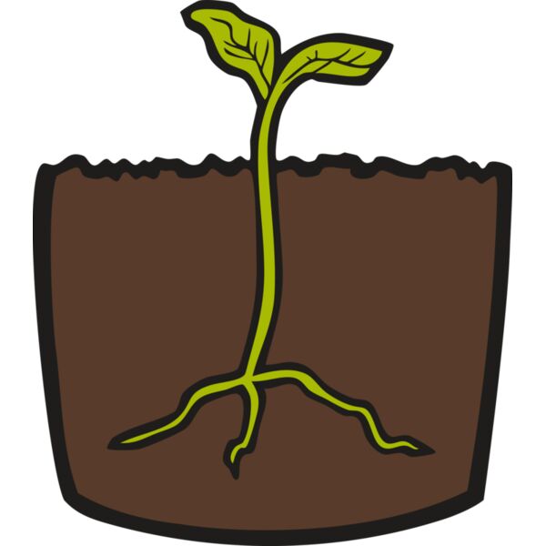 LandscapeD15 Thumbnail