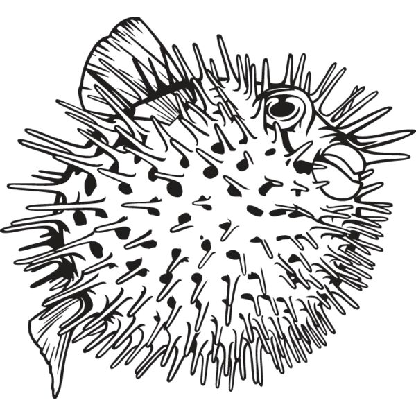 Pufferfish Thumbnail
