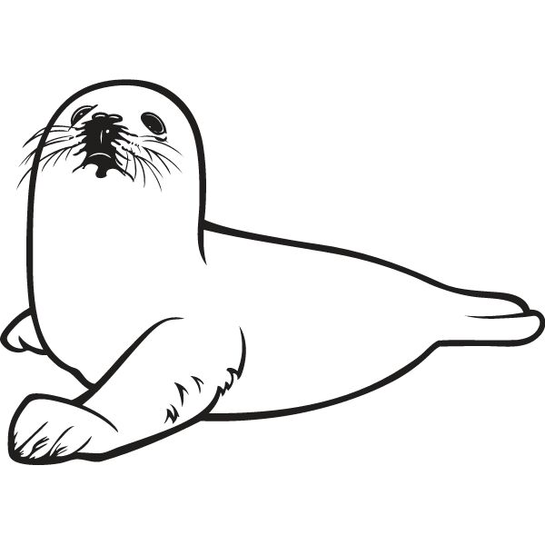 Baby Seal1 Thumbnail