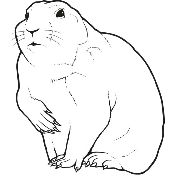 Prairie Dog Thumbnail